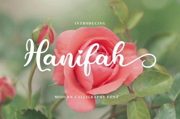 Discover the Flowing Versatility of Hanifah
