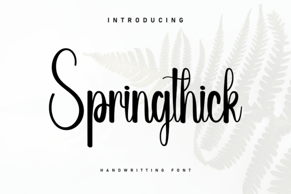 Why Springthick Feels Like a Warm Hug for Your Brand